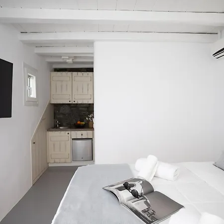 Villa Schatz Mykonos Town